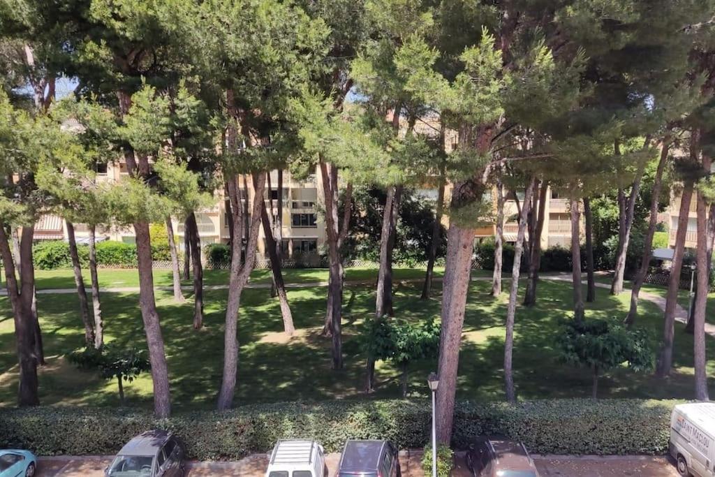 Bel Appartement Avec Piscine Proche Des Plages Six-Fours-les-Plages Luaran gambar